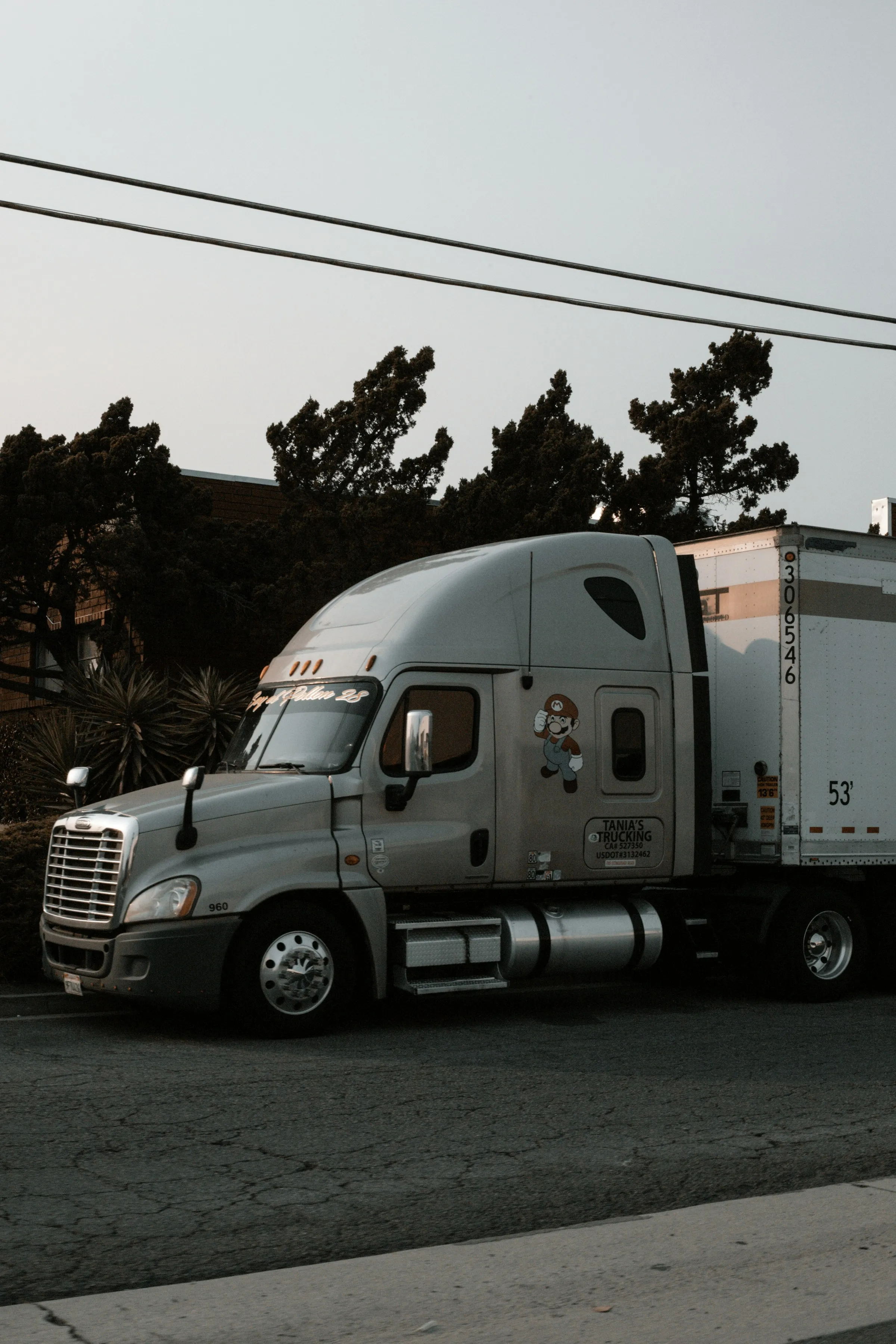 Freightliner Cascadia sleeper cab